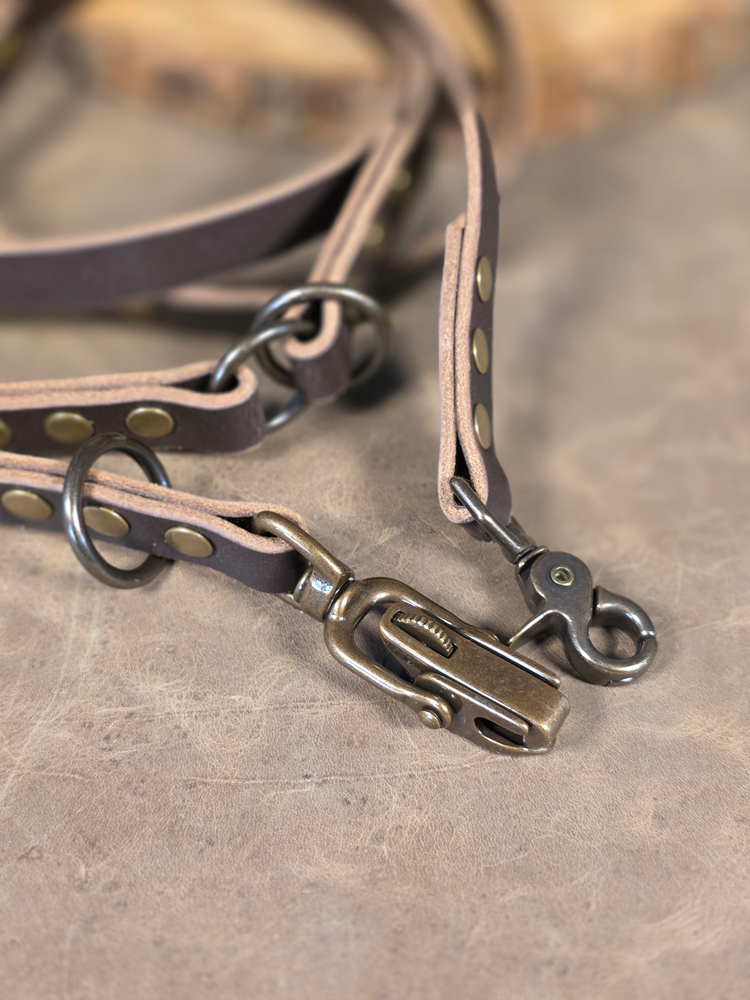 Close-up of a leather dog leash with solid brass locking jaw and trigger snap metal clasps on a textured surface
