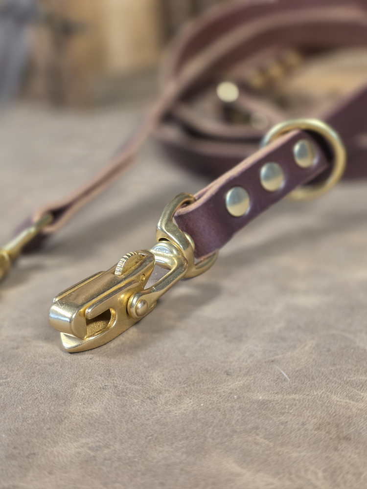 Close-up of a brass locking jaw clip and a leather dog leash with a blurred background.